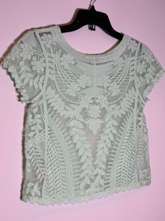 Express Tops - Express Lace Crop Top XS Mint Floral Embroidered Sheer Boho